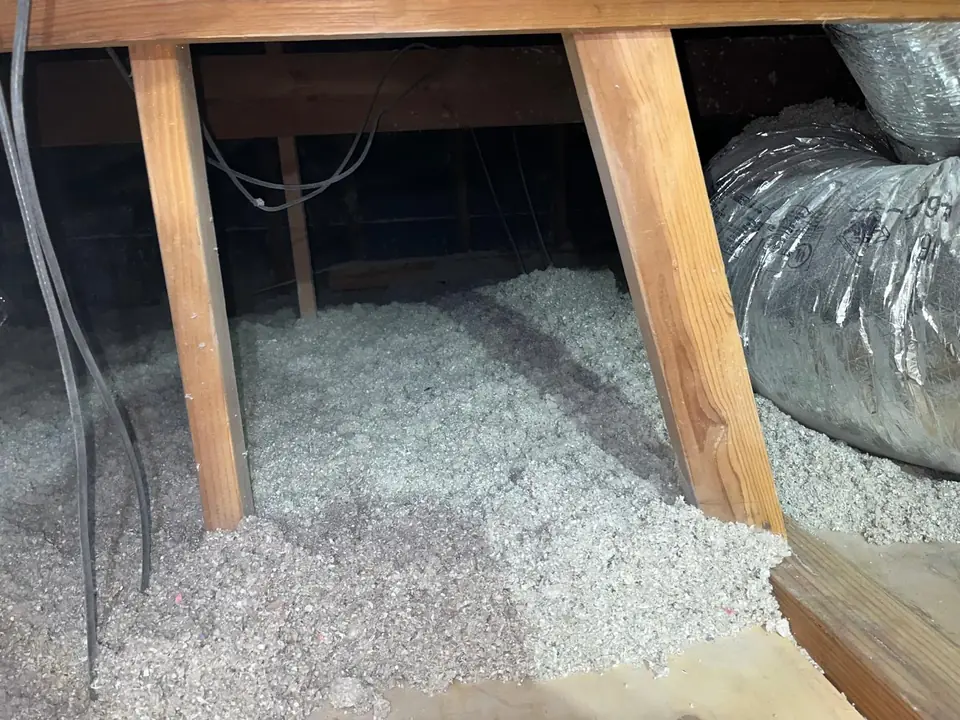 Clean attic with fresh insulation between the joists